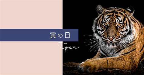 寅日|「寅の日」とは？ その意味や当日にすると良いことから2024年。